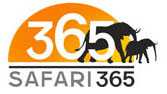 Safari 365